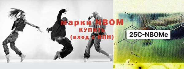 гашик Елизово