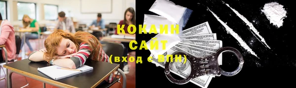 гашик Елизово