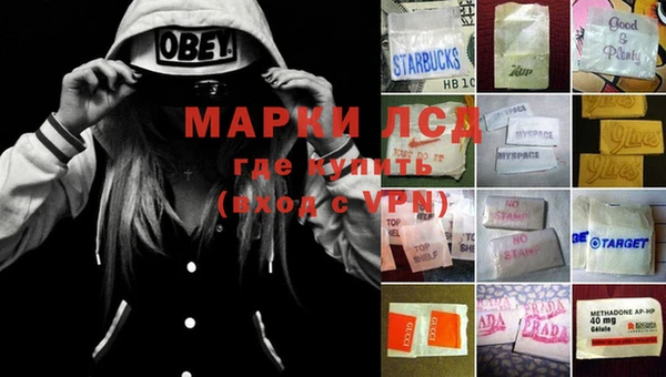 гидропоника Ельня
