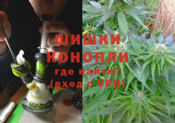 гашик Елизово