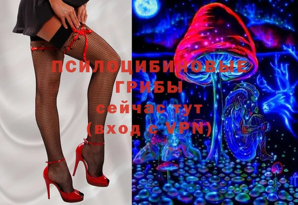 гидропоника Ельня