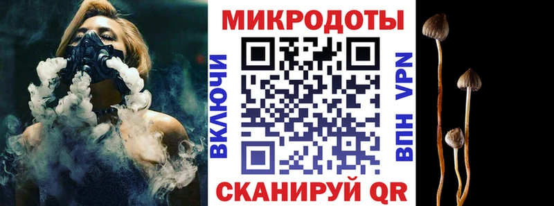 Купить  Камызяк  Псилоцибиновые грибы Magic Shrooms 
